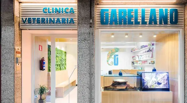 Clinica veterinaria en Bilbao Garellano