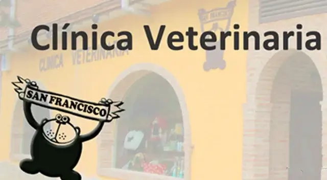 18485clinica-veterinaria-san-francisco-en-cuenca-fondo.webp