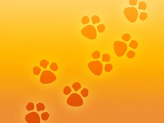 Clinica veterinaria en Bilbao