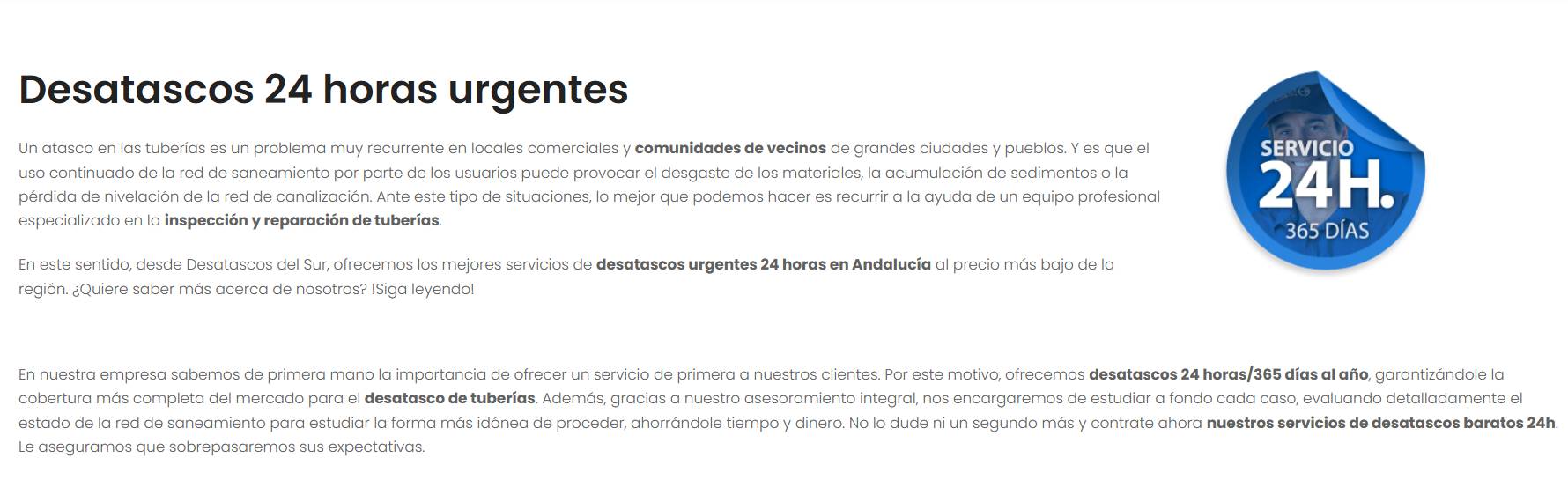 Desatascos del SUR